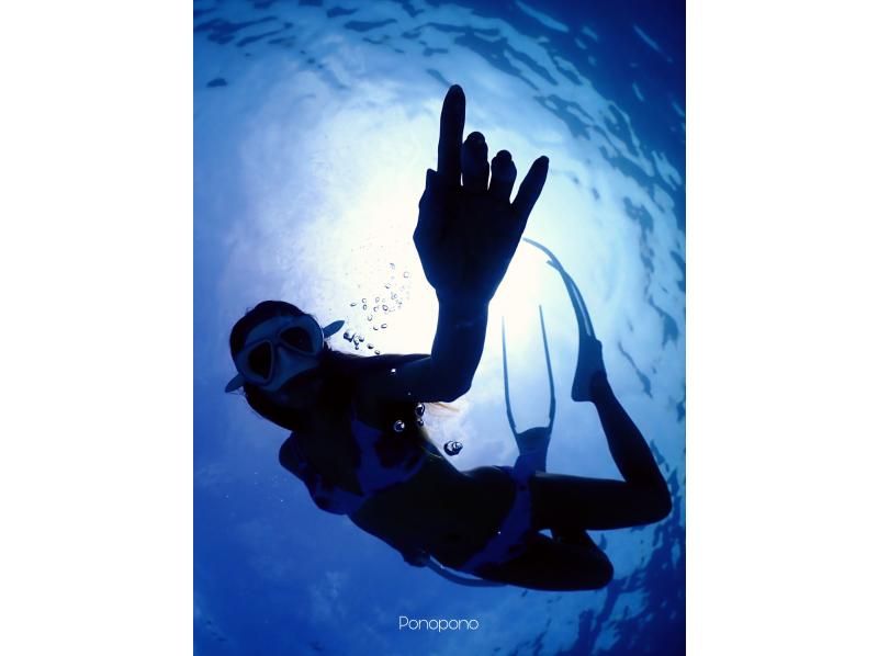 【沖縄・石垣島】１組専属！ガイド貸切！マンタやウミガメのポイントでシュノーケリング！スキン幻の島の紹介画像