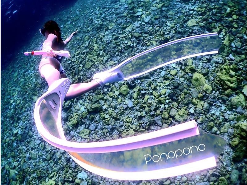 【沖縄・石垣島】１組専属！ガイド貸切！マンタやウミガメのポイントでシュノーケリング！スキン幻の島の紹介画像