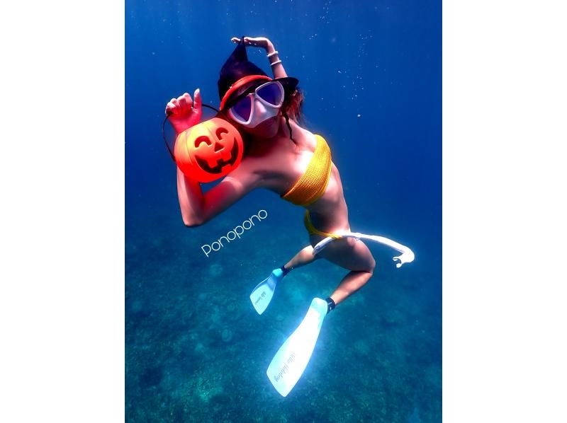 【沖縄・石垣島】１組専属！ガイド貸切！マンタやウミガメのポイントでシュノーケリング！スキン幻の島の紹介画像