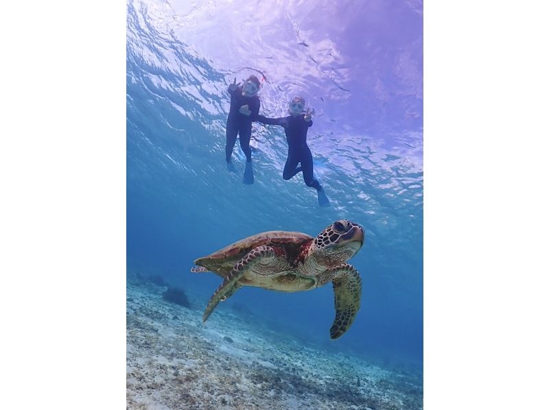 [Okinawa Miyakojima] [Sea turtle or coral fish snorkeling tour] [Underwater photography included] This plan allows you to choose between sea turtles or coral fish!の紹介画像