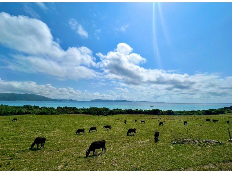 [Ishigaki Island 360 degree panoramic view ☆] ☆West Peninsula Plan Yarabe-dake Course☆の紹介画像