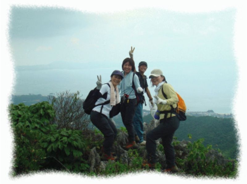 [โอกินาว่า・ Nago] แผนปีนเขาเพื่อรับการเยียวยาจากธรรมชาติอันยิ่งใหญ่! (หลักสูตรหนึ่งวัน)の紹介画像