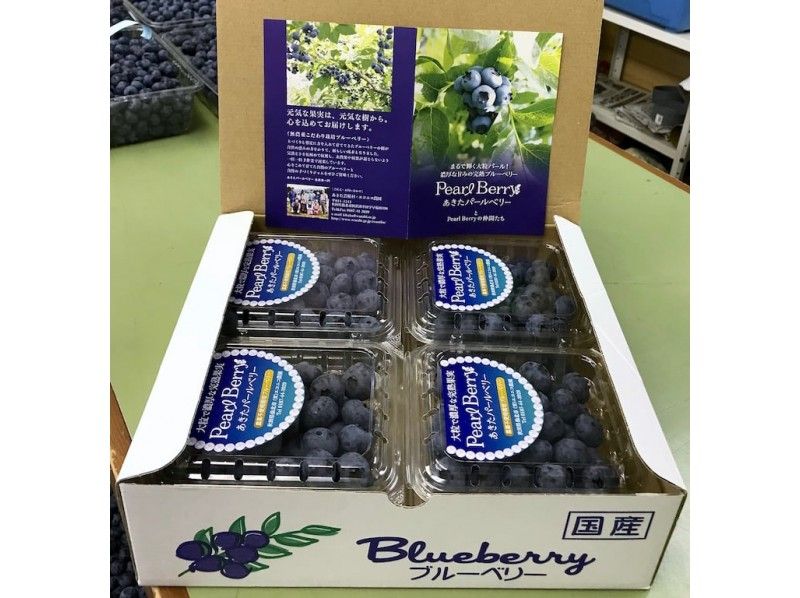 秋田県・仙北市】小さなお子様も安心・無農薬こだわり栽培の