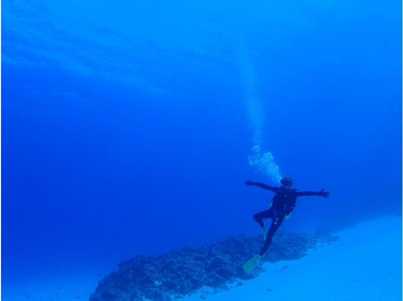 [Departure from Naha/Kerama Chibishi Islands/half day] \Limited price/Fun Diving (2 dives)| ◆Afternoon◆の紹介画像