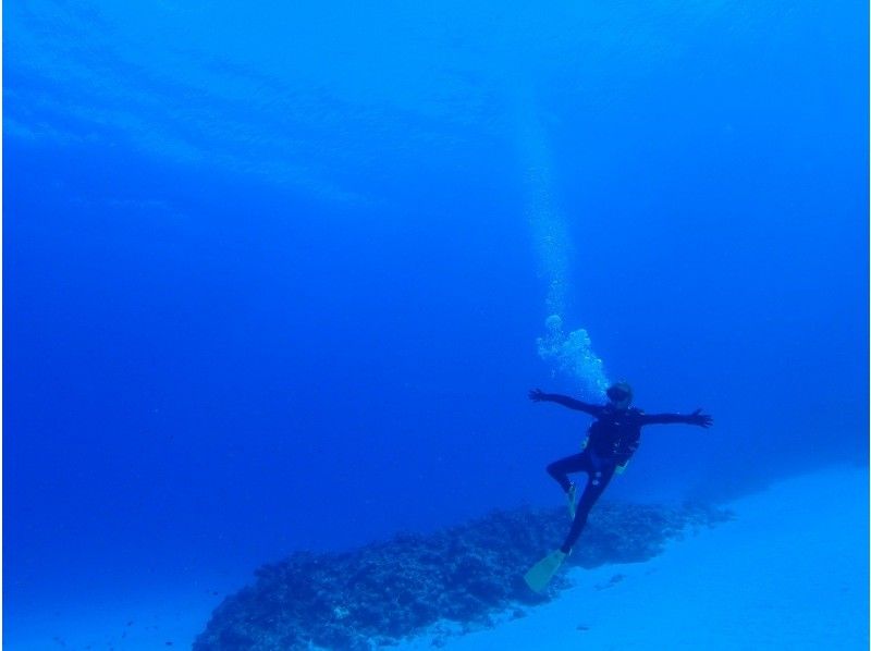 [Boat departure from Ginowan / held in Ginowan] \Limited price/Boat fun diving (2 dives) |の紹介画像