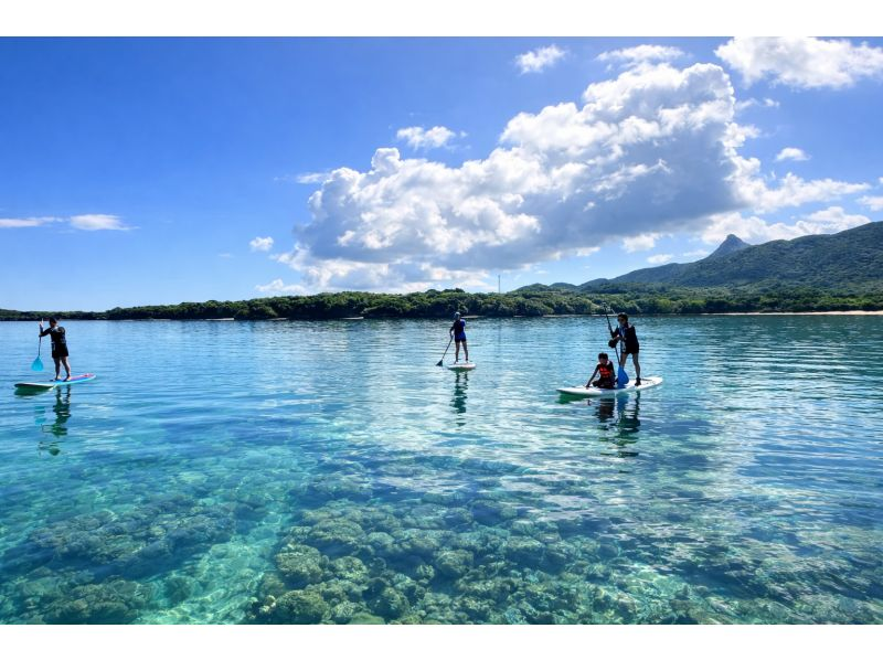 【石垣島】エメラルドグリーン広がる絶景の北部の海をSUP/カヤック体験✨遠浅のウミガメの産卵ポイントで開催‼️初心者向け✨写真動画無料！の紹介画像