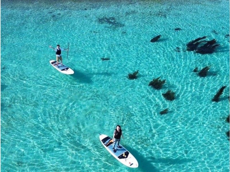 【石垣島】エメラルドグリーン広がる絶景の北部の海をSUP/カヤック体験✨遠浅のウミガメの産卵ポイントで開催‼️初心者向け✨写真動画無料！の紹介画像