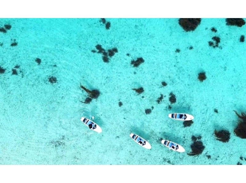 【石垣島】エメラルドグリーン広がる絶景の北部の海をSUP/カヤック体験✨遠浅のウミガメの産卵ポイントで開催‼️初心者向け✨写真動画無料！の紹介画像