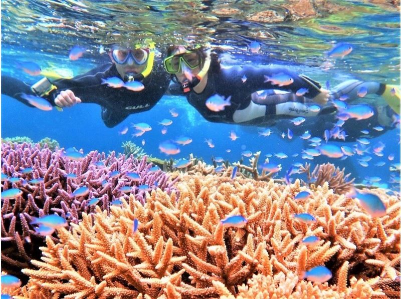 【八重干瀬】無料GoPro12レンタル・ドローン動画撮影☆初心者さんは浮き輪でガイド☆最短距離の池間島発☆半日シュノーケリングの紹介画像