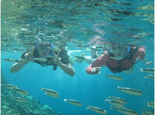 伊良部島 青の洞窟シュノーケリングツアー 船上カツオの解体ショー お刺身食べ放題付 アクティビティジャパン