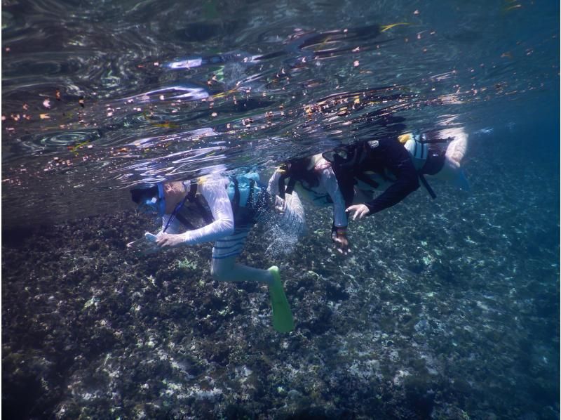 【Irabe Island】 Blue cave snorkel tour With a fresh bonito dismantling show and a bonito all-you-can-eat lunch!の紹介画像