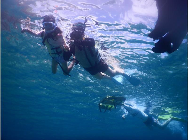 【伊良部島】青の洞窟シュノーケリングツアー・船上カツオ解体ショー・お刺身食べ放題付　の紹介画像