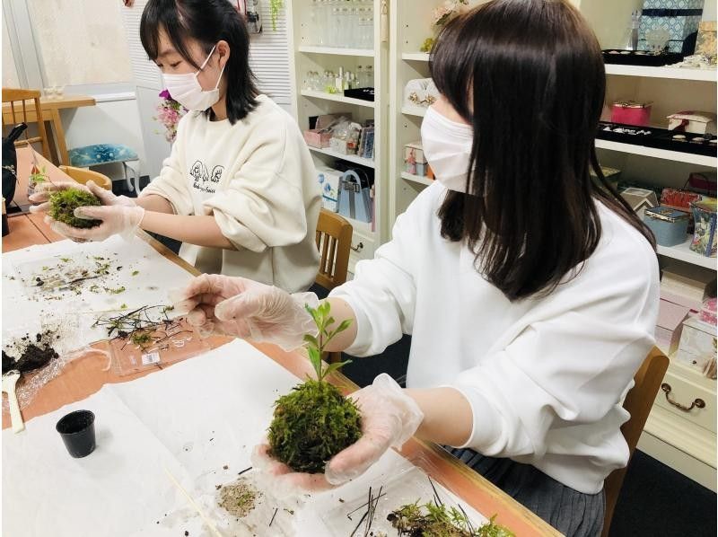 【宮城・仙台市】癒しの苔玉作り体験☆仙台、広瀬通駅から徒歩で直ぐ！【探究A型】の紹介画像