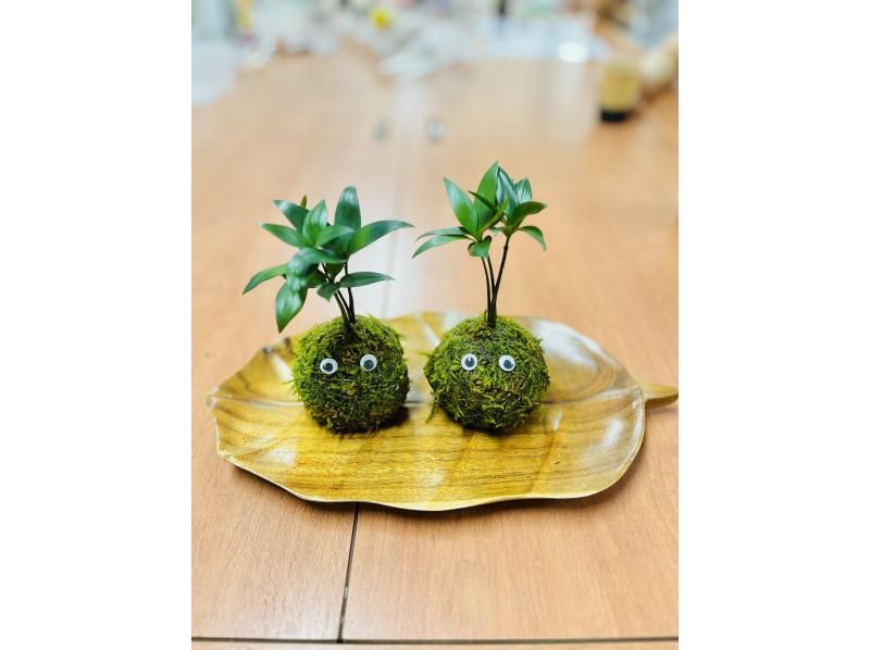 【宮城・仙台市】癒しの苔玉作り体験☆仙台、広瀬通駅から徒歩で直ぐ！【探究A型】の紹介画像