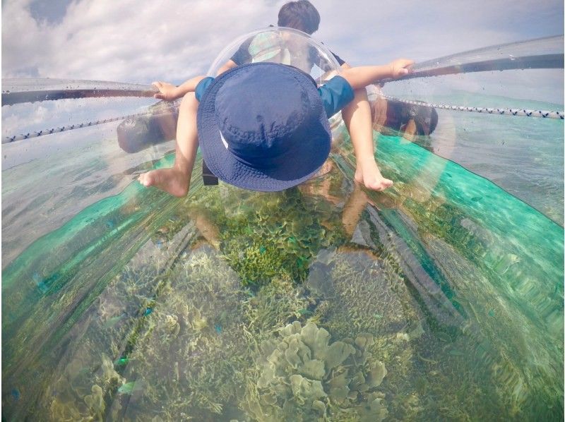 [Okinawa, Motobu, Sesoko Island] Super popular! Anyone can enjoy a 30-minute glass canoe tour!の紹介画像