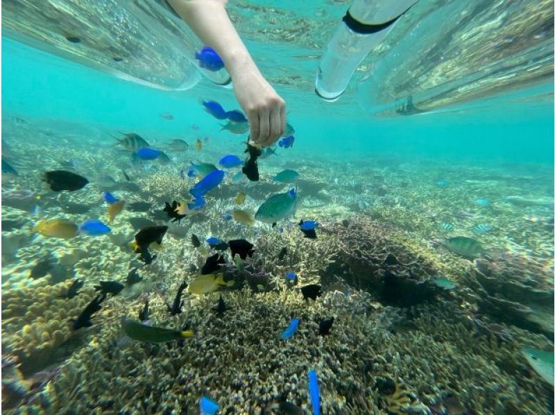 Okinawa, Motobu, Sesoko Island] Super popular! Anyone can enjoy a