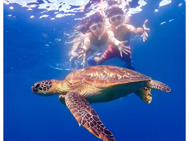 [沖繩/石垣島]藍洞漫步和海龜照片浮潛の紹介画像