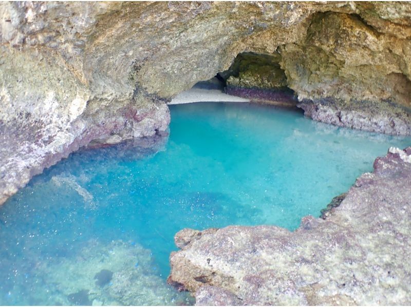 [Okinawa / Ishigaki Island] Blue Cave Walk & Sea Turtle Photo Snorkelingの紹介画像
