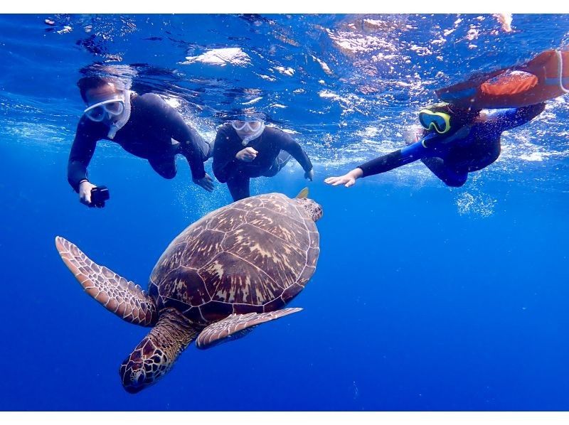 [冲绳/石垣岛]蓝洞漫步和海龟照片浮潜の紹介画像