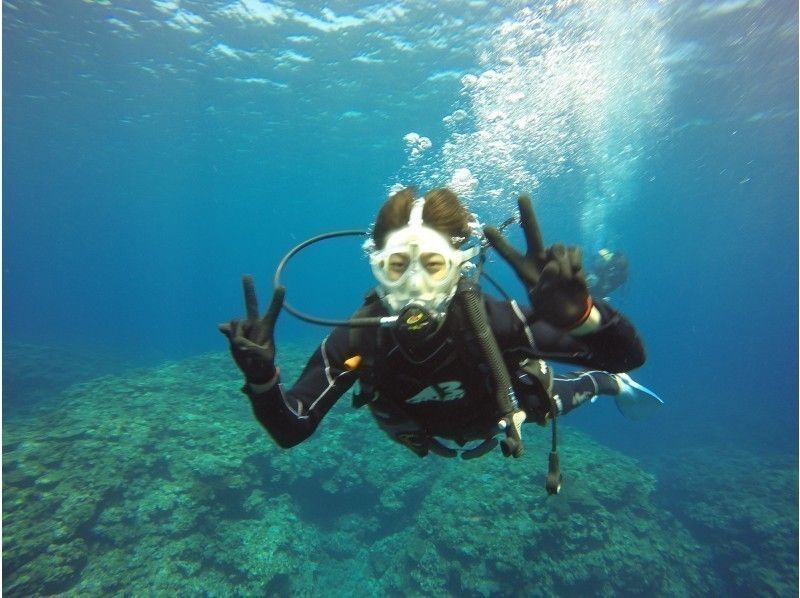 [冲绳/石垣岛]去看海龟体验潜水半日课程-（上午/下午）の紹介画像