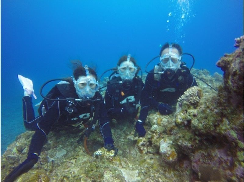 [沖繩/石垣島]去看海龜體驗潛水半日課程-（上午/下午）の紹介画像