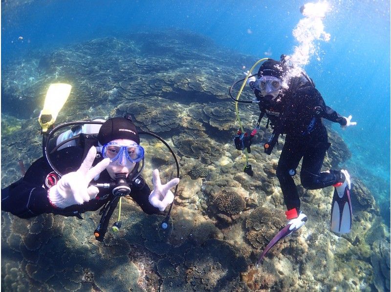 【和歌山・串本】カップルやグループにオススメ☆サンゴ礁が広がる本州最南端の海で体験ダイビング！の紹介画像