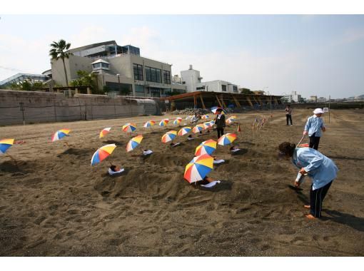 鹿児島・指宿】砂むし温泉と健康美 茶ぶし＋オクラスムージー付き