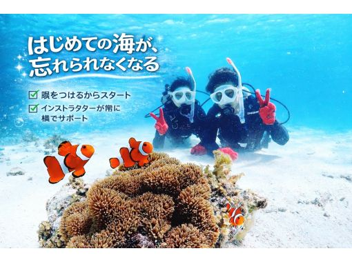 たった15000円!3つのアクティビティ? 初心者専門|幻の島&石西礁湖を満喫 体験ダイビング+ウミガメシュノーケリング【石垣島・1日】 たった15000円!3つのアクティビティ? 初心者専門|幻の島&石西礁湖を満喫 体験ダイビング+ウミガメシュノーケリング【石垣島・1日】