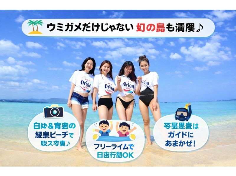 【石垣島人気No.1】幻の島＆石西礁湖｜体験ダイビング＋ウミガメシュノーケリング｜初心者専門の紹介画像