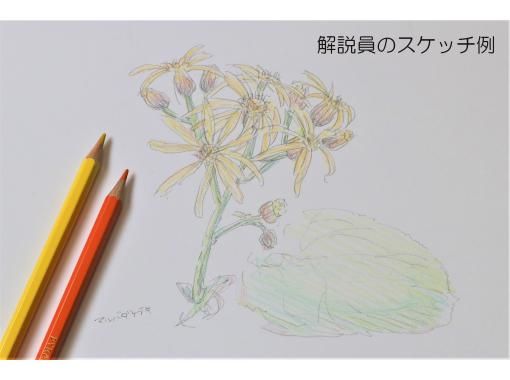 栃木 奥日光 初心者歓迎 自然解説員と行く景色の良い千手ヶ浜でのんびり色鉛筆スケッチさんぽ Activityjapan 栃木 奥日光 初心者歓迎 自然解説員と行く景色の良い千手ヶ浜でのんびり色鉛筆スケッチさんぽ Activityjapan
