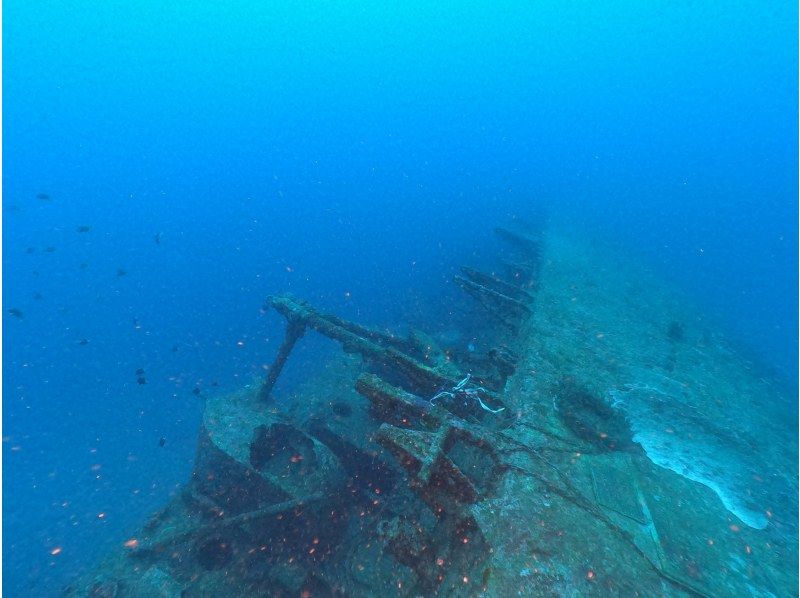 【沖縄本島　古宇利島】USSエモンズ　沈船ダイビング（２ダイブ）写真動画撮影プレゼントの紹介画像
