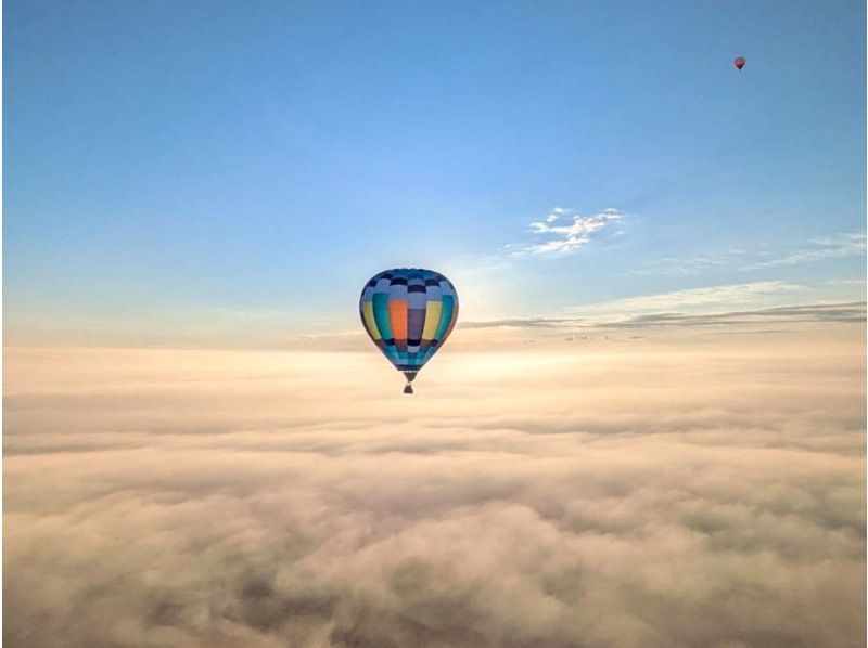 栃木・渡良瀬】くまモンの気球で上空1000mまで行ける空の旅！元世界