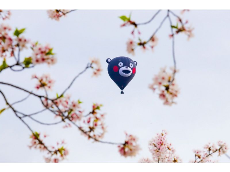 [Tochigi・Watarase] ◇ Free photos, drinks, and snacks ◇ An extraordinary experience! A luxurious balloon experience full of surprises and excitement for youの紹介画像