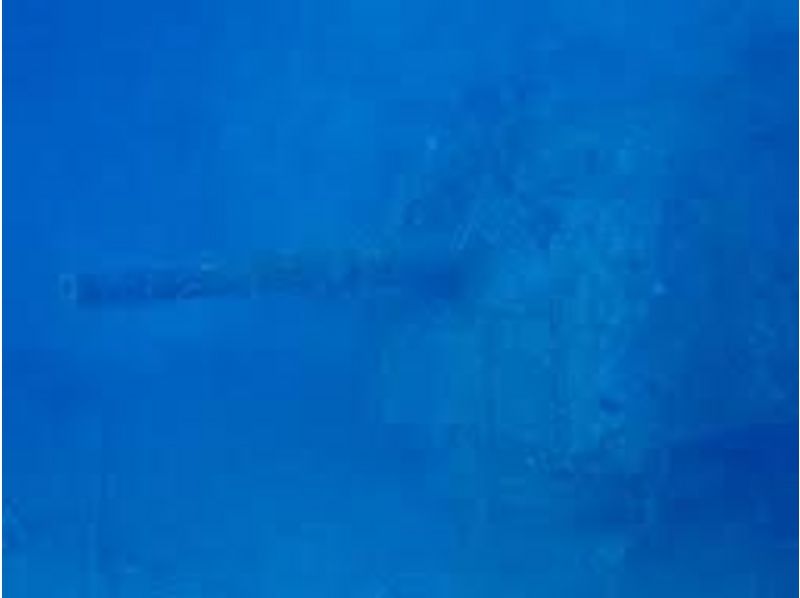 【沖縄・名護】沖縄本島周辺で唯一の沈船ダイブをお楽しみ下さい！（沈船エモンズ）の紹介画像
