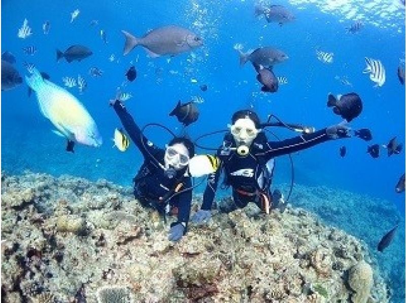 [冲绳蓝洞]体验潜水-欢迎初学者！完全保留了2个潜水路线☆包括水下射击和喂食！の紹介画像