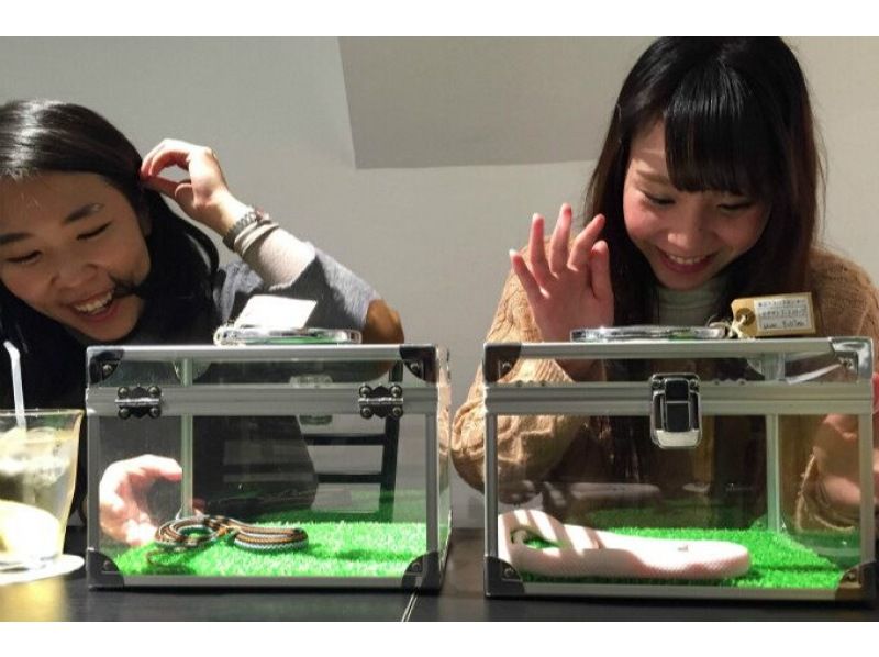 Unusual Animal Cafe: Snake Cafe