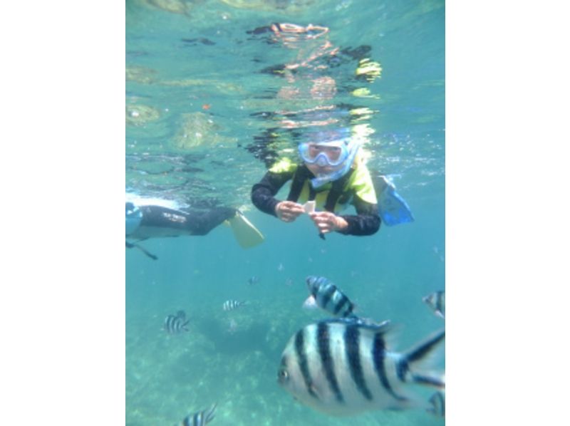 [โอกินาวา Nago] Easy! ดำน้ำดูปะการังในเพลิดเพลินกับสระว่ายน้ำในช่วงน้ำทะเลโอกินาว่าของพวกเขา! (อุปกรณ์ให้เช่ารวม)の紹介画像