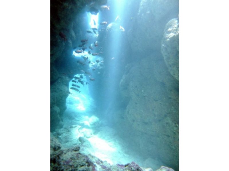 [โอกินาว่าNago] แผน Open Water Diver (SSI) มีให้ใช้งานภายใน 3 วัน!の紹介画像
