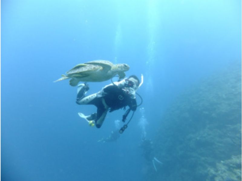 [冲绳Nago]开放水域潜水员（SSI）计划，至少3天执照取得可能的！の紹介画像