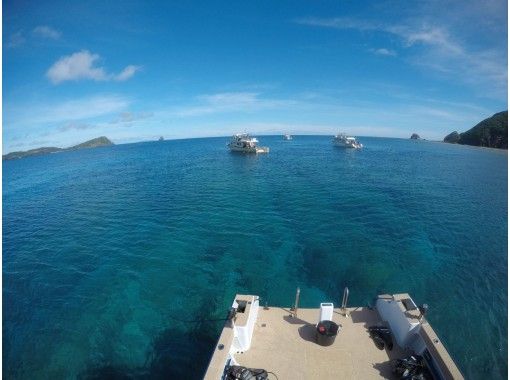 沖縄 北谷 渡嘉敷島上陸付き ケラマ諸島シュノーケル 渡嘉敷島 阿波連ビーチ 海水浴 ボートシュノーケリングツアー ランチ付き アクティビティジャパン 沖縄 北谷 渡嘉敷島上陸付き ケラマ諸島シュノーケル 渡嘉敷島 阿波連ビーチ 海水浴 ボートシュノーケリングツアー ランチ付き アクティビティジャパン
