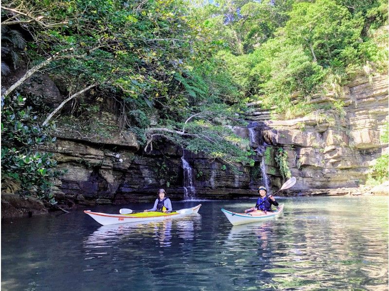 [Okinawa / Iriomote Island] Sea trip kayak. Take a kayak with you at the "Ida no Hama" or "Mizuochi Waterfall" that you want to visit once in your life! !!の紹介画像