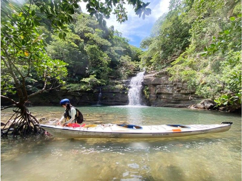 [Okinawa / Iriomote Island] Sea trip kayak. Take a kayak with you at the "Ida no Hama" or "Mizuochi Waterfall" that you want to visit once in your life! !!の紹介画像