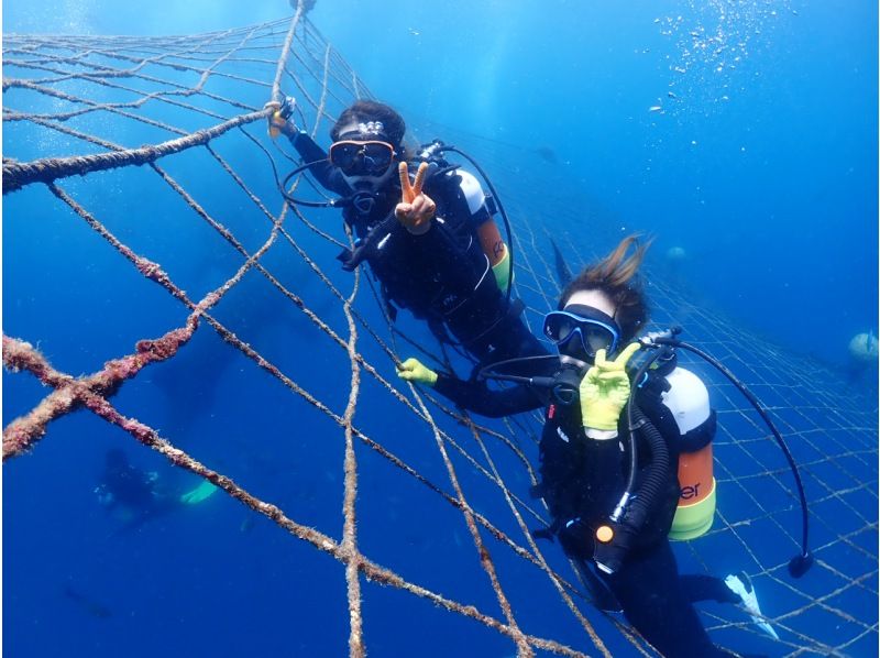 【沖縄・ジンベエザメ・体験ダイビング】世界最大の魚類ジンベエザメ★100％の感動と200％の興奮★完全貸切★大人気GoPro写真＆動画無料★