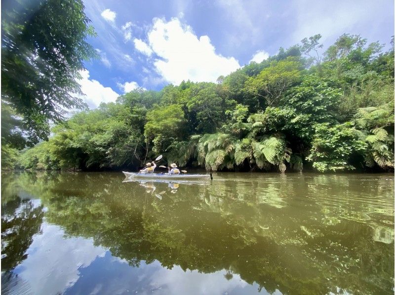 [Okinawa / Iriomote Island] River trip kayak. Rowing the mangrove river and walking in the ancient scented jungle "Nara Falls" or Speaking of play, this is "Adanade Falls"の紹介画像
