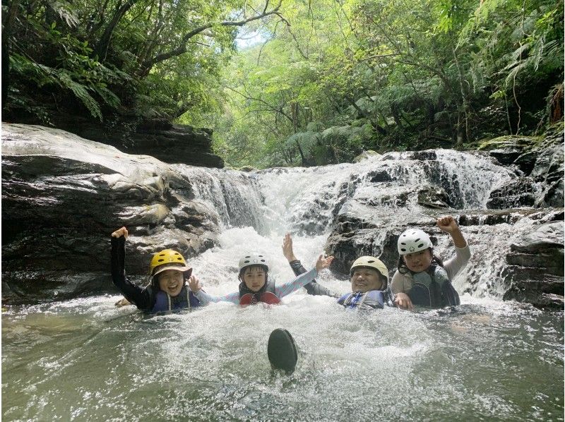 [Okinawa / Iriomote Island] River trip kayak. Rowing the mangrove river and walking in the ancient scented jungle "Nara Falls" or Speaking of play, this is "Adanade Falls"の紹介画像