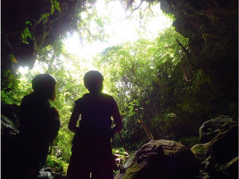 【沖縄・西表島】あれもこれもやりたい方は迷わずこれ、「島尽くし」。マングローブカヤック、シュノーケリング、滝遊び、洞窟探検を自由にアレンジ！の紹介画像