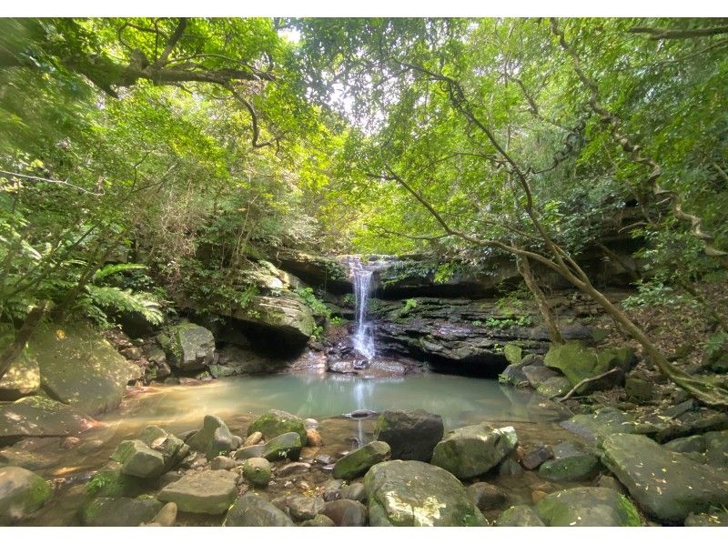 [Okinawa / Iriomote Island] If you want to do this or that, don't hesitate to say "Island exhaustion". Arrange mangrove kayaking, snorkeling, waterfall play, and cave exploration freely!の紹介画像