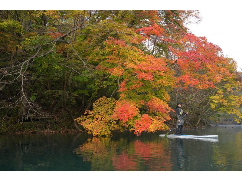 First in Hokkaido! Clear SUP (SUP) Warm cruising with a dry suit that does not get wet all over! Water quality is the best in Japan for more than 10 years. It is safe at the only local shop in Lake Shikotsu!の紹介画像