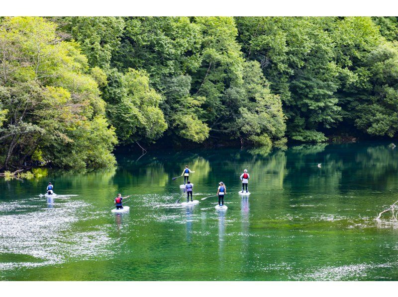 北海道初！クリアサップ（SUP)クルージング！水質日本トップクラス国立公園支笏湖唯一の現地ショップで安心！の紹介画像