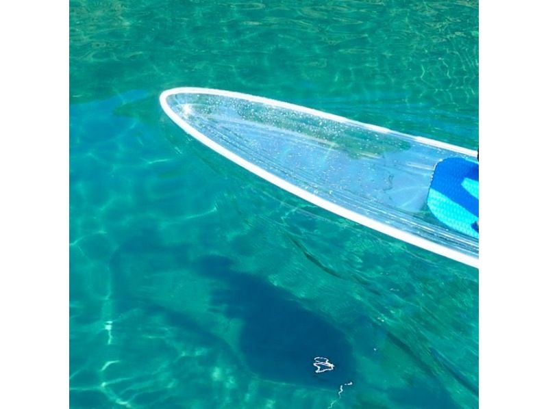 【手ぶらSUP】写真付き！北海道初上陸クリアSUPで、水質11年連続日本1位を誇る湖・川を体感！アメニティー各種無料！初心者、カップル歓迎！の紹介画像